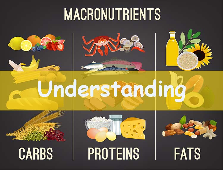 Understanding macronutrients carbohydrates, proteins, and fats